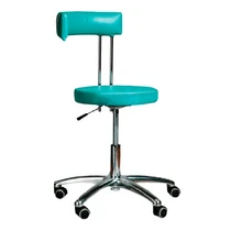 Arkodor AR-Z69L - стул врача с увеличенной высотой, цвет S1044<span> (Беларусь)</span>